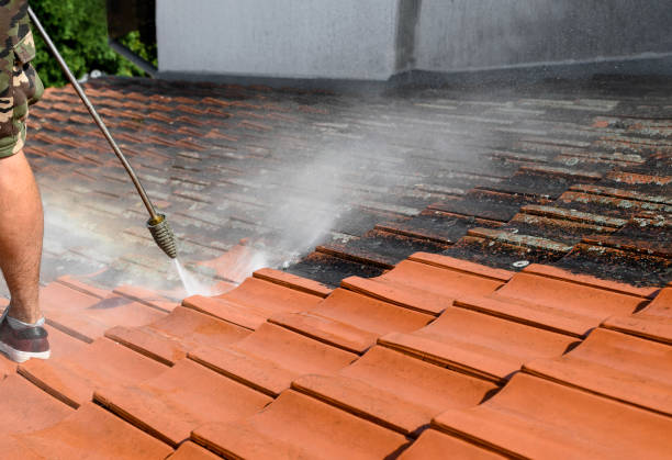 Best Sidewalk Pressure Washing  in Beulaville, NC