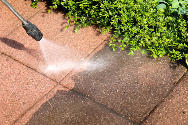 Best House Pressure Washing  in Beulaville, NC